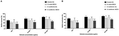 Antimicrobial, Antibiofilm, and Antioxidant Properties of Boletus edulis and Neoboletus luridiformis Against Multidrug-Resistant ESKAPE Pathogens